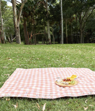 dock & bay strawberries and cream picnic blanket