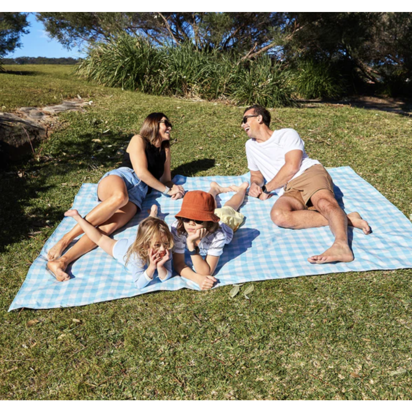 dock & bay blueberry pie picnic blanket