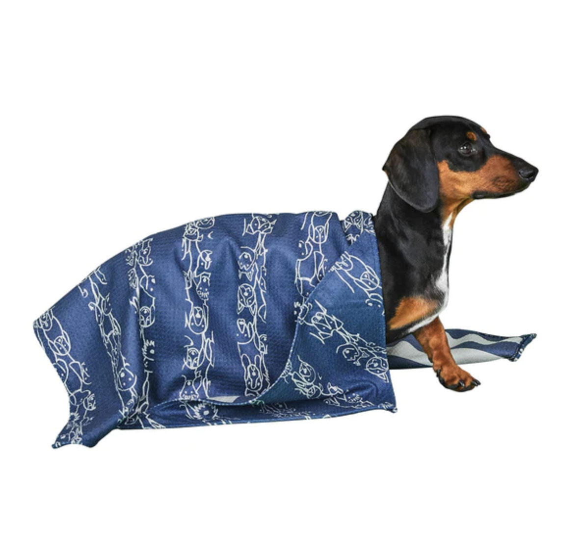 dock & bay Puppy Party Dog Towel