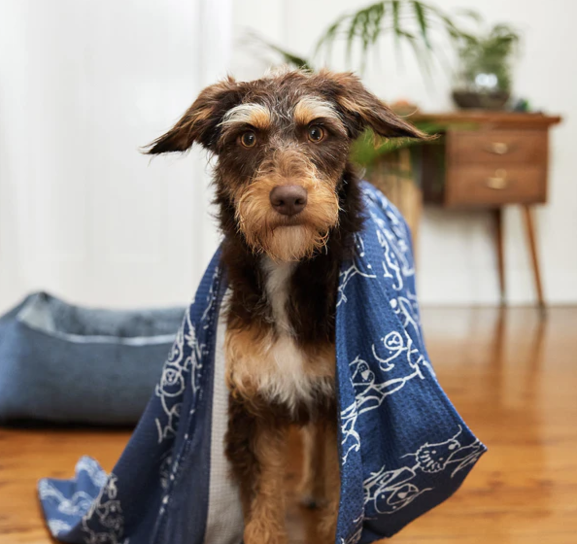 dock & bay Puppy Party Dog Towel