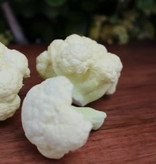 available at m. lynne designs Cauliflower Floret