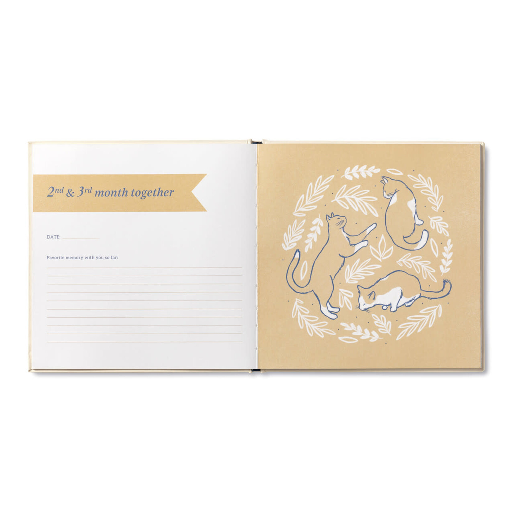 m. lynne designs our first year cat keepsake book