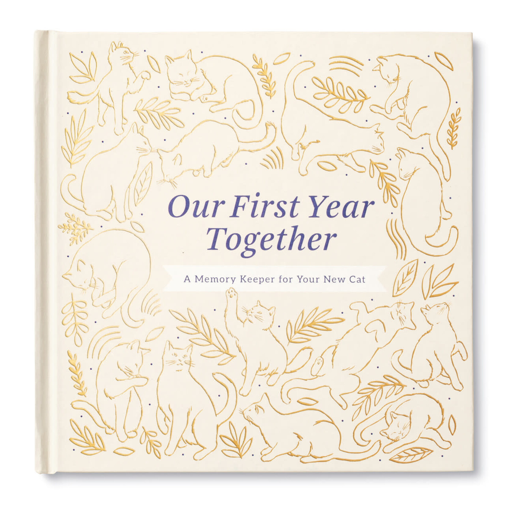 m. lynne designs our first year cat keepsake book