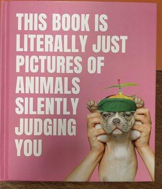 available at m. lynne designs Pictures of Animals Judging Book