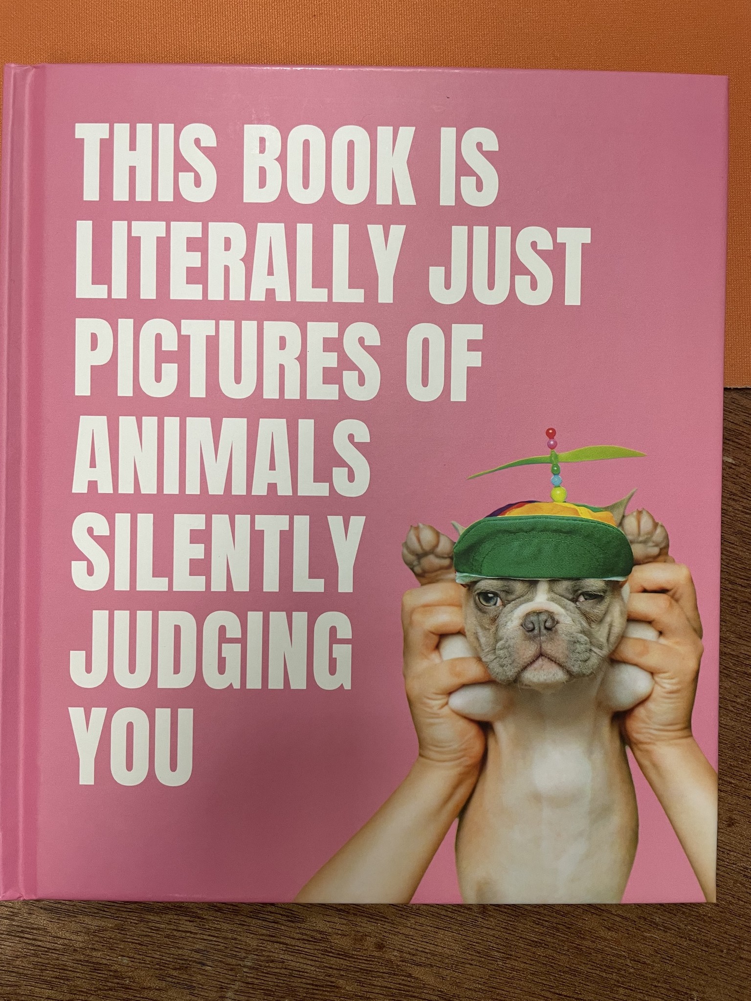 Pictures of Animals Judging Book