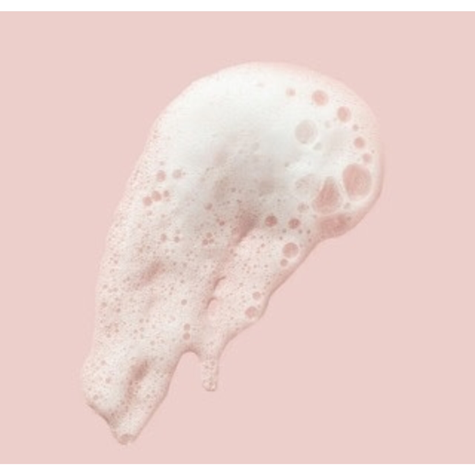 farmhouse fresh c the future foaming cleanser