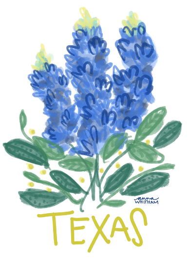 available at m. lynne designs Texas Bluebonnets Sticker