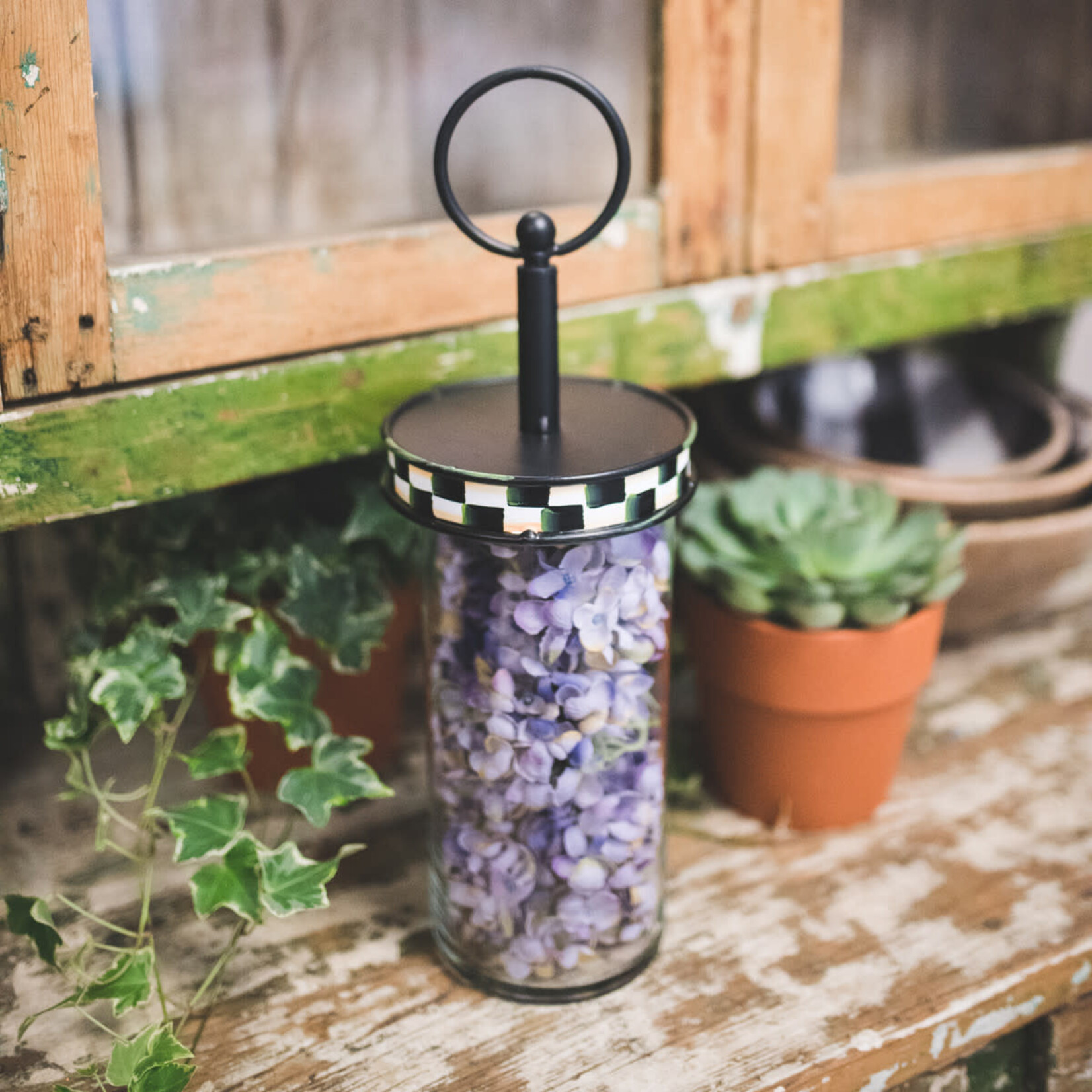 the round top collection glass cylinder jar