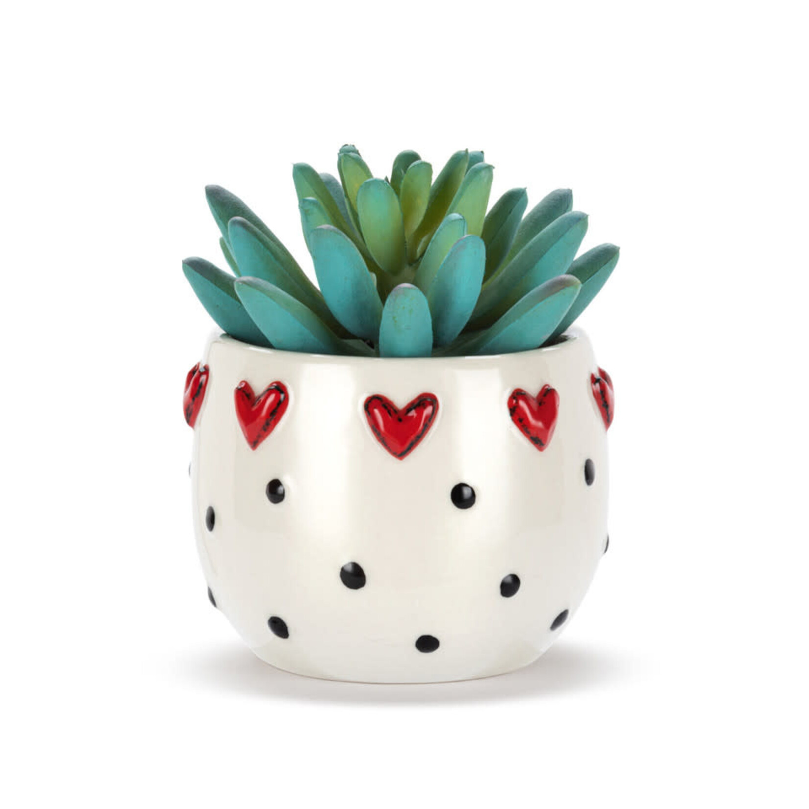 available at m. lynne designs mini hearts succulent