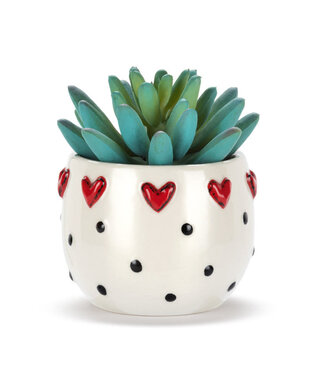 available at m. lynne designs mini hearts succulent