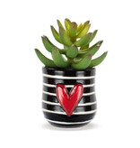 available at m. lynne designs mini stripes succulent