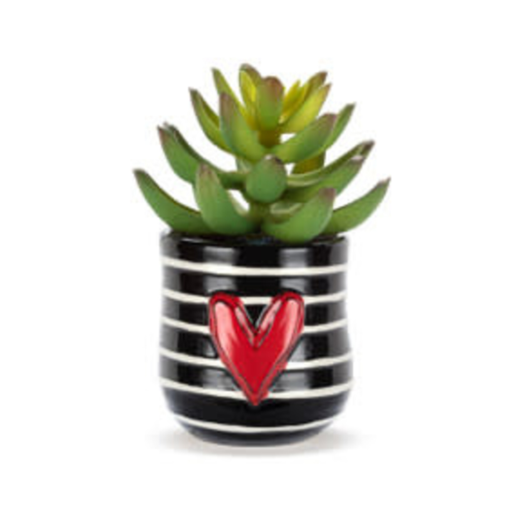m. lynne designs mini stripes succulent