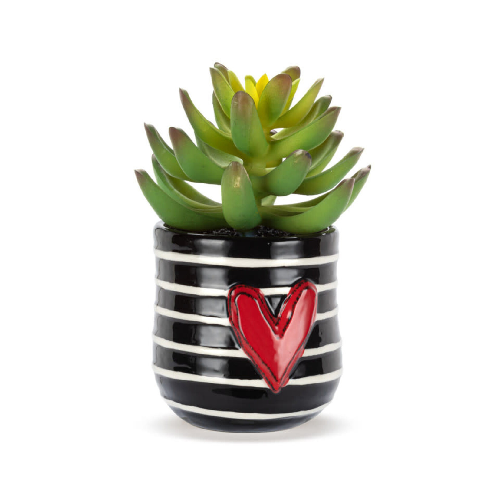 m. lynne designs mini stripes succulent