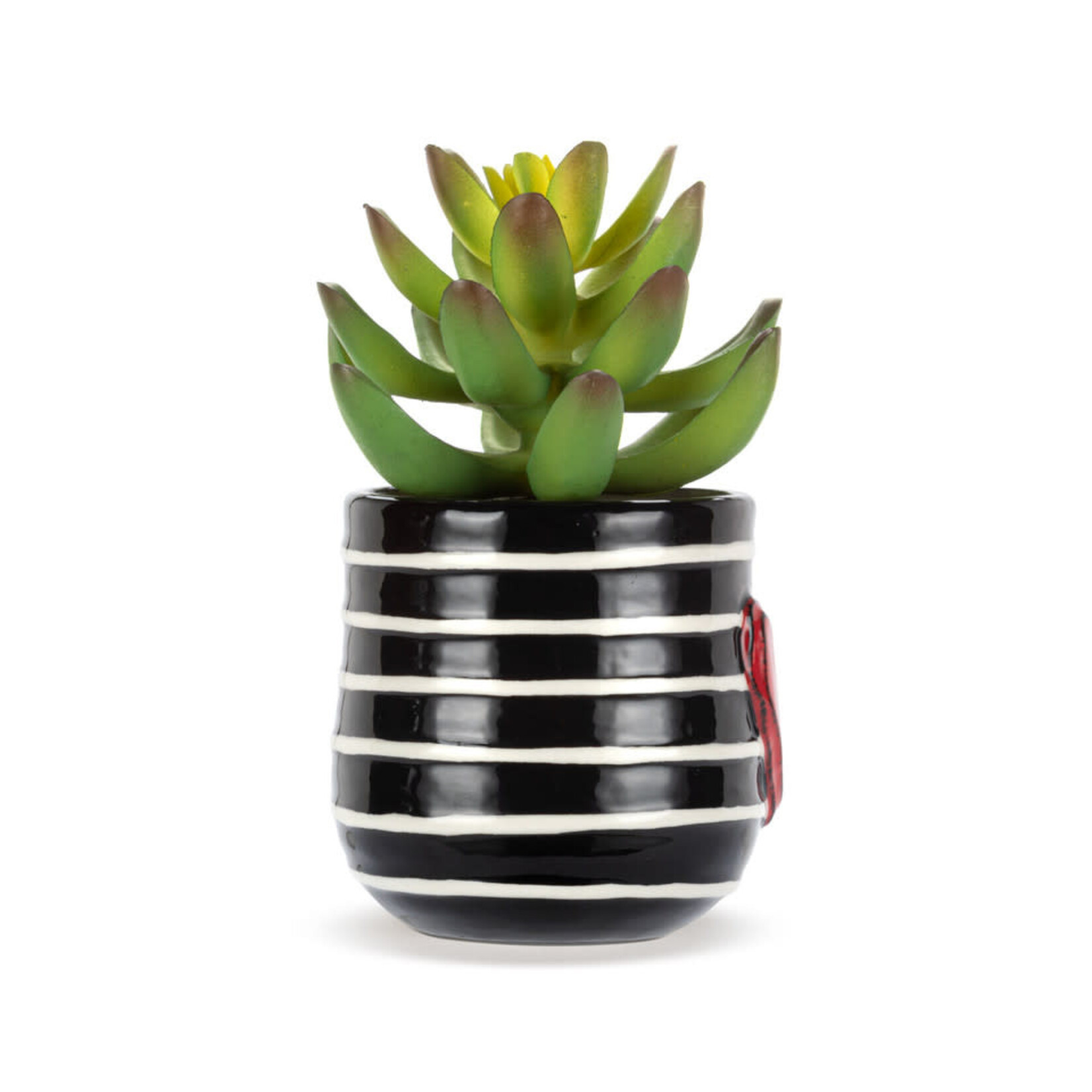 m. lynne designs mini stripes succulent