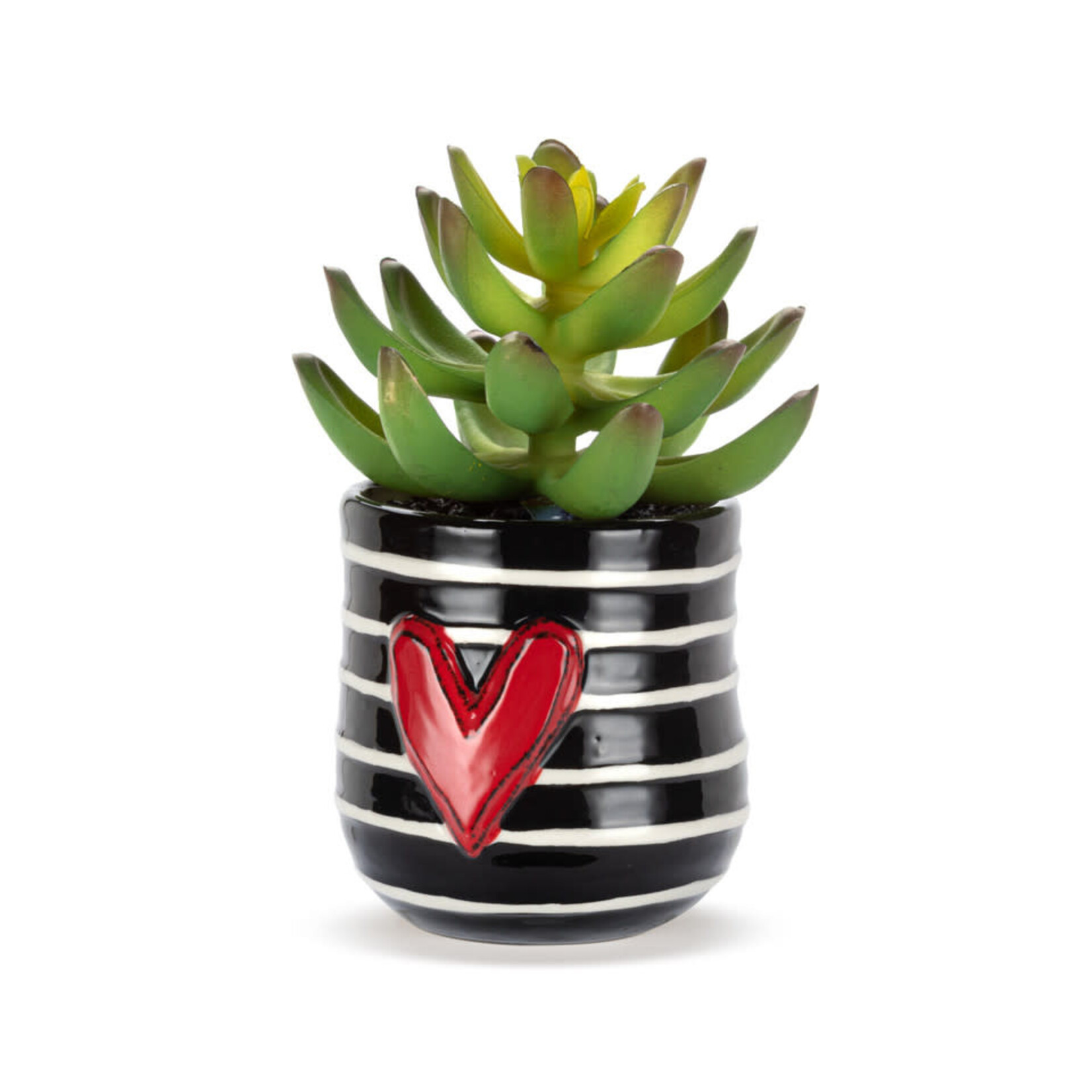 m. lynne designs mini stripes succulent