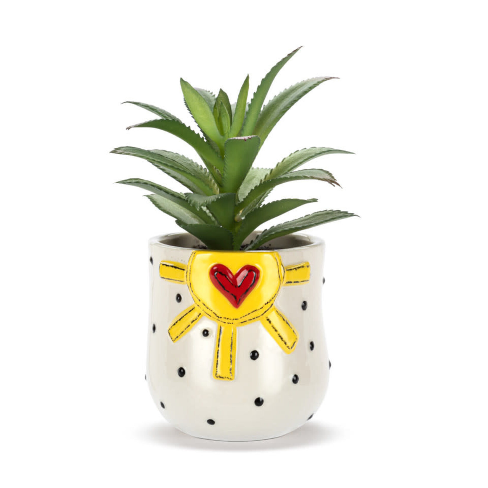 m. lynne designs sun & dots succulent