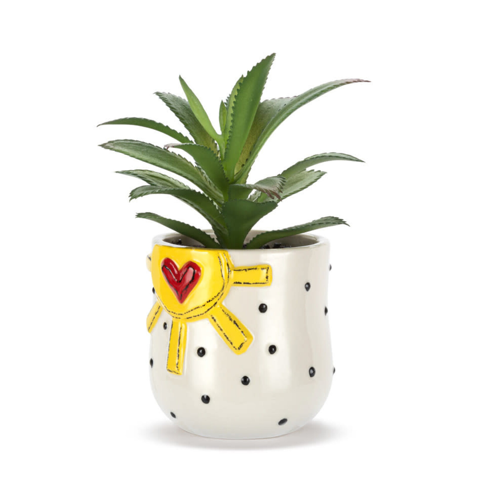 m. lynne designs sun & dots succulent