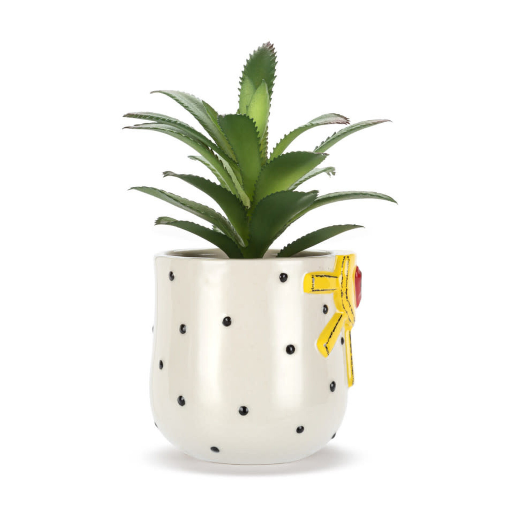m. lynne designs sun & dots succulent