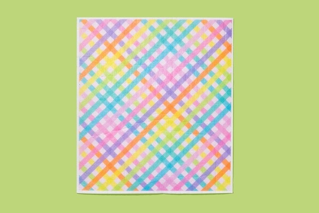 taylor elliott designs Colorful Gingham Swedish Dish Cloth