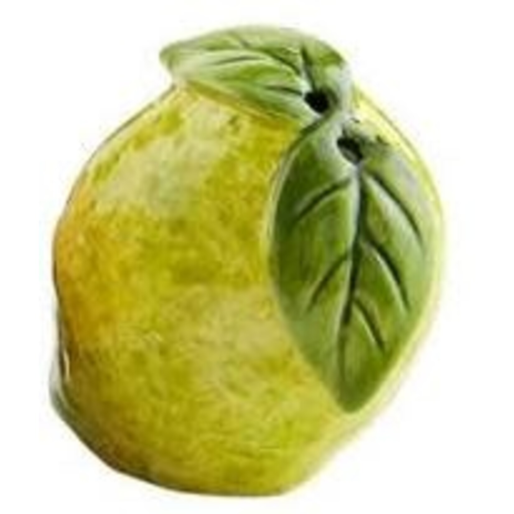 mud pie citrus shaker
