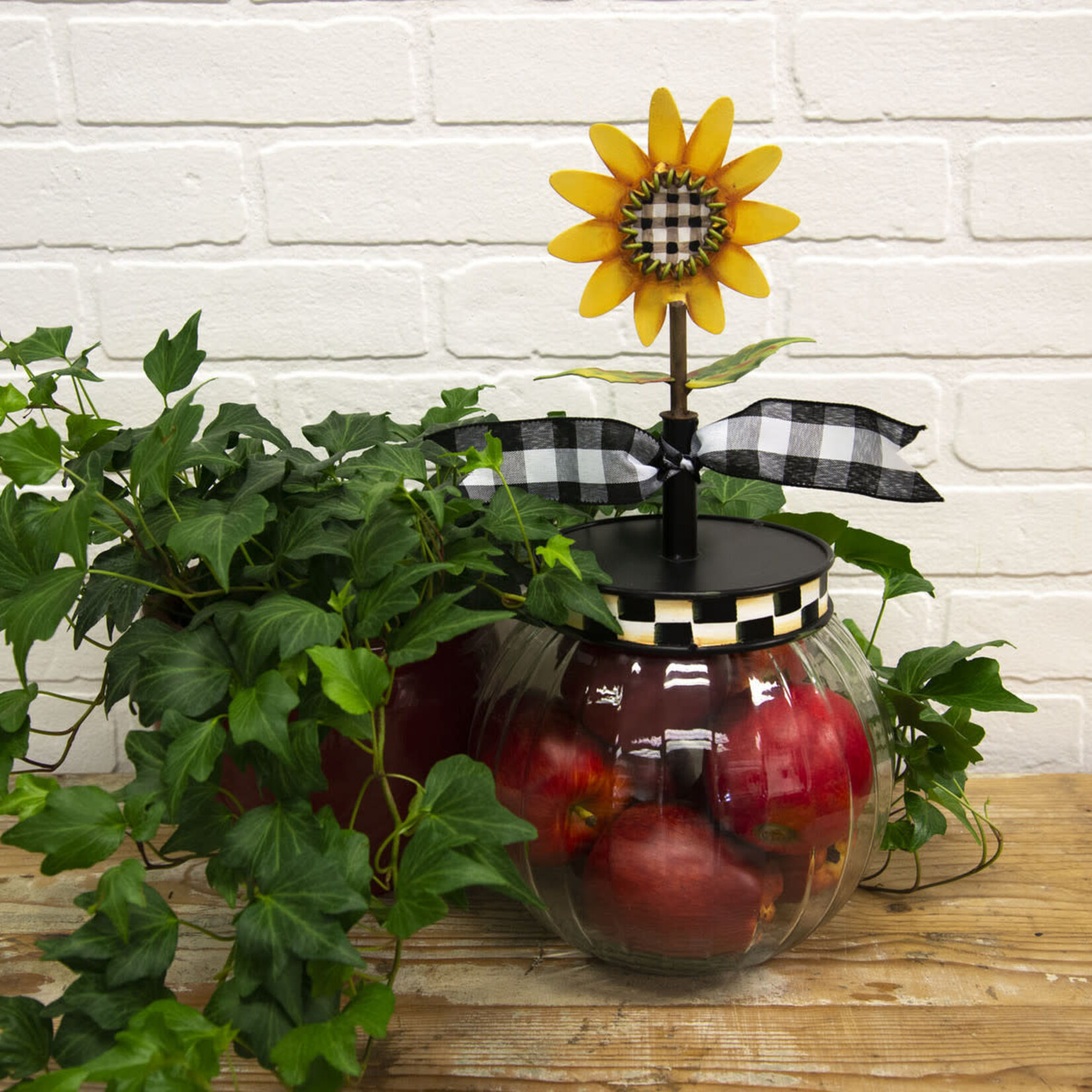the round top collection glass bubble jar