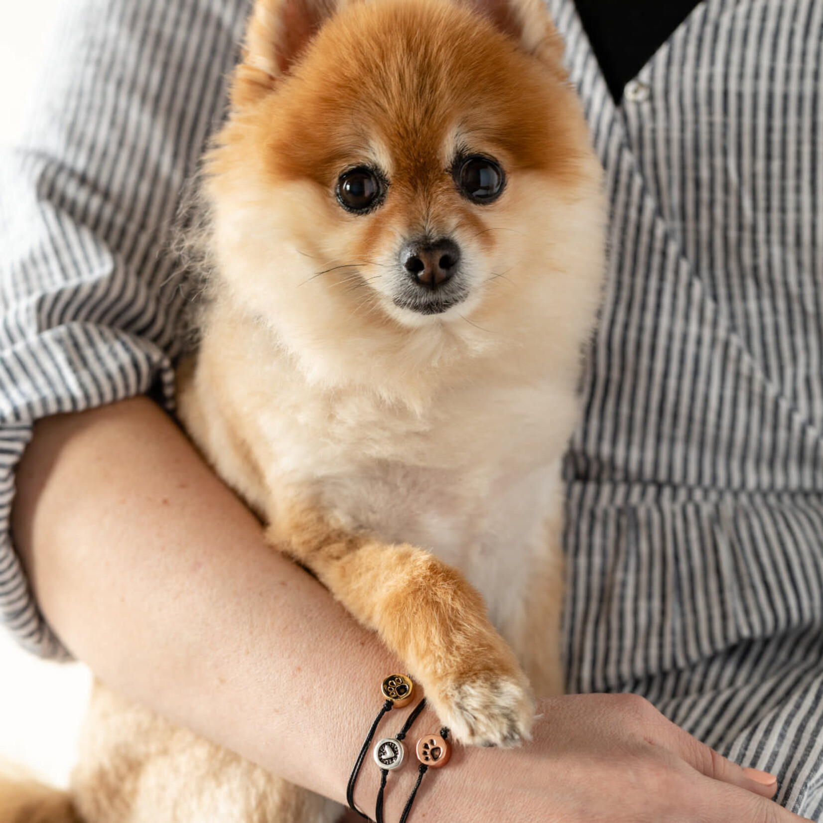 m. lynne designs loving memories pet bracelet