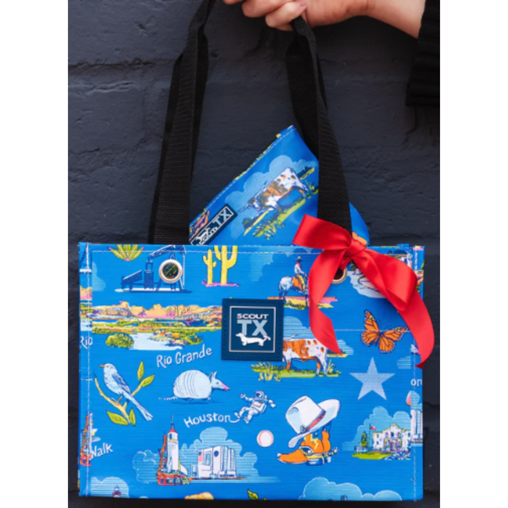 SCOUT Bags texas tiny package