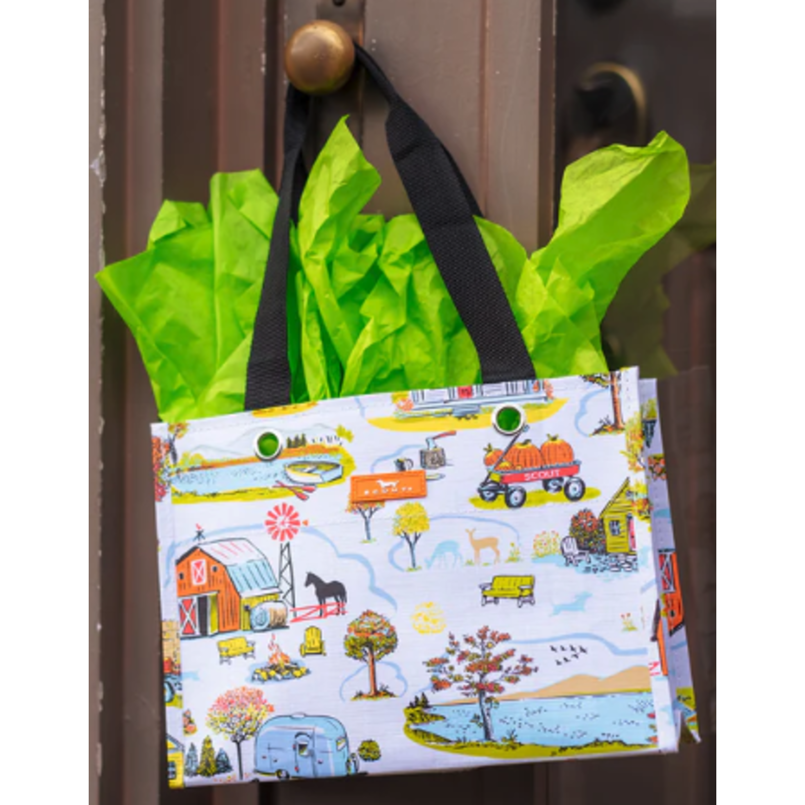 SCOUT Bags texas tiny package