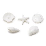 m. lynne designs shell trinket dish with matchbox