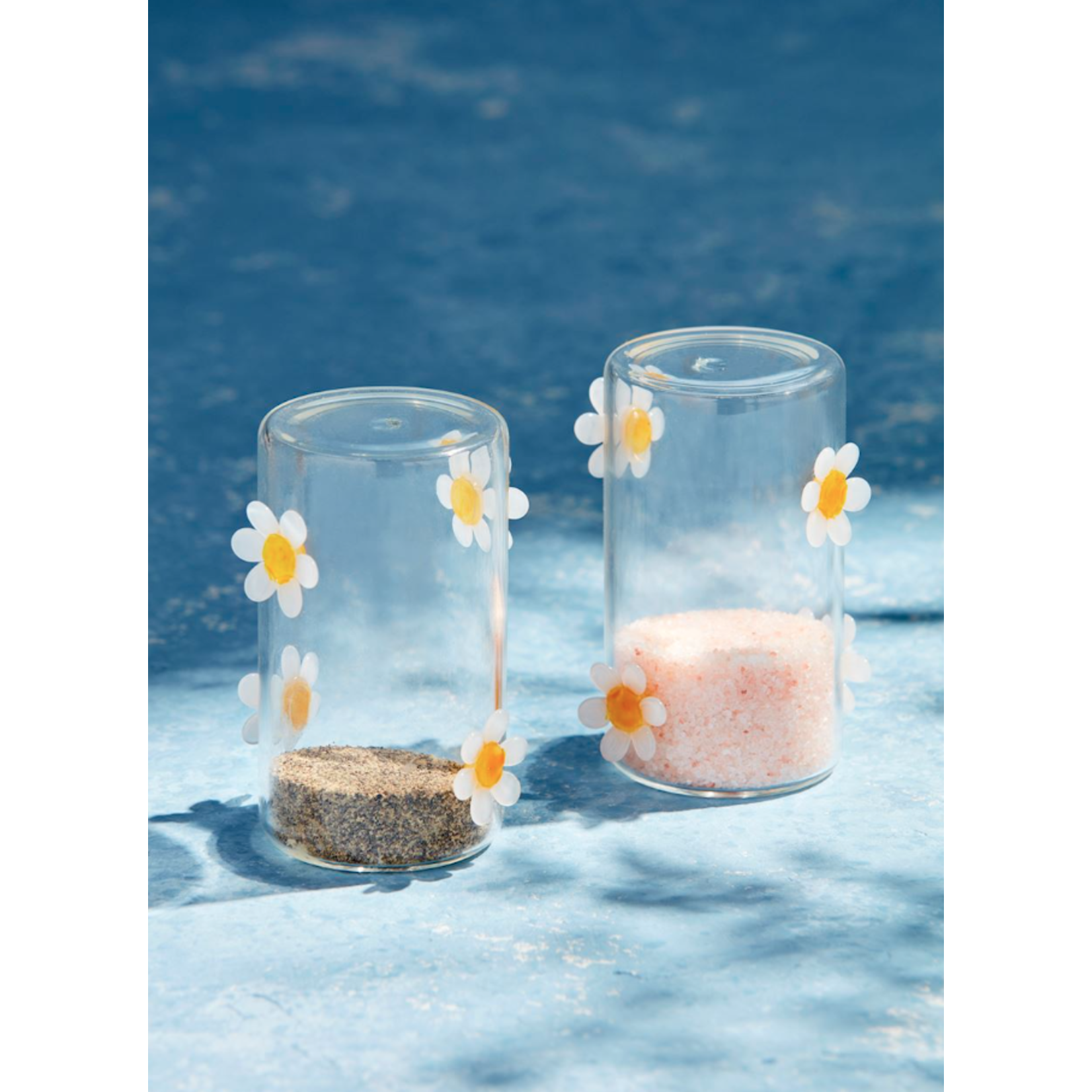 mud pie clear daisy salt & pepper set
