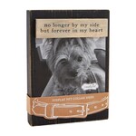 mud pie black dog collar remembrance picture frame