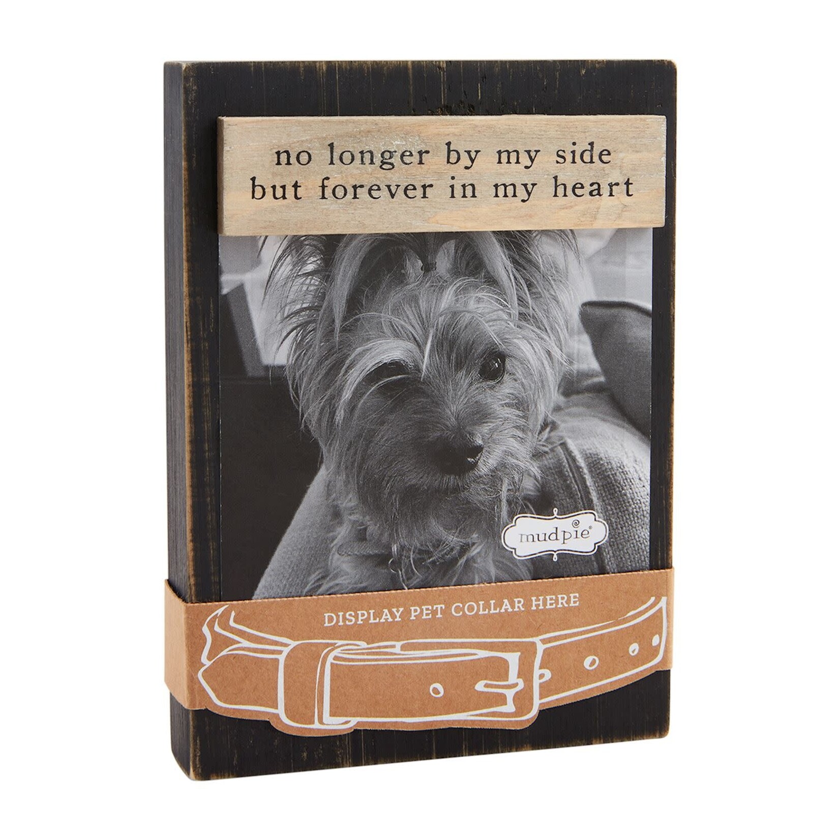 mud pie black dog collar remembrance picture frame