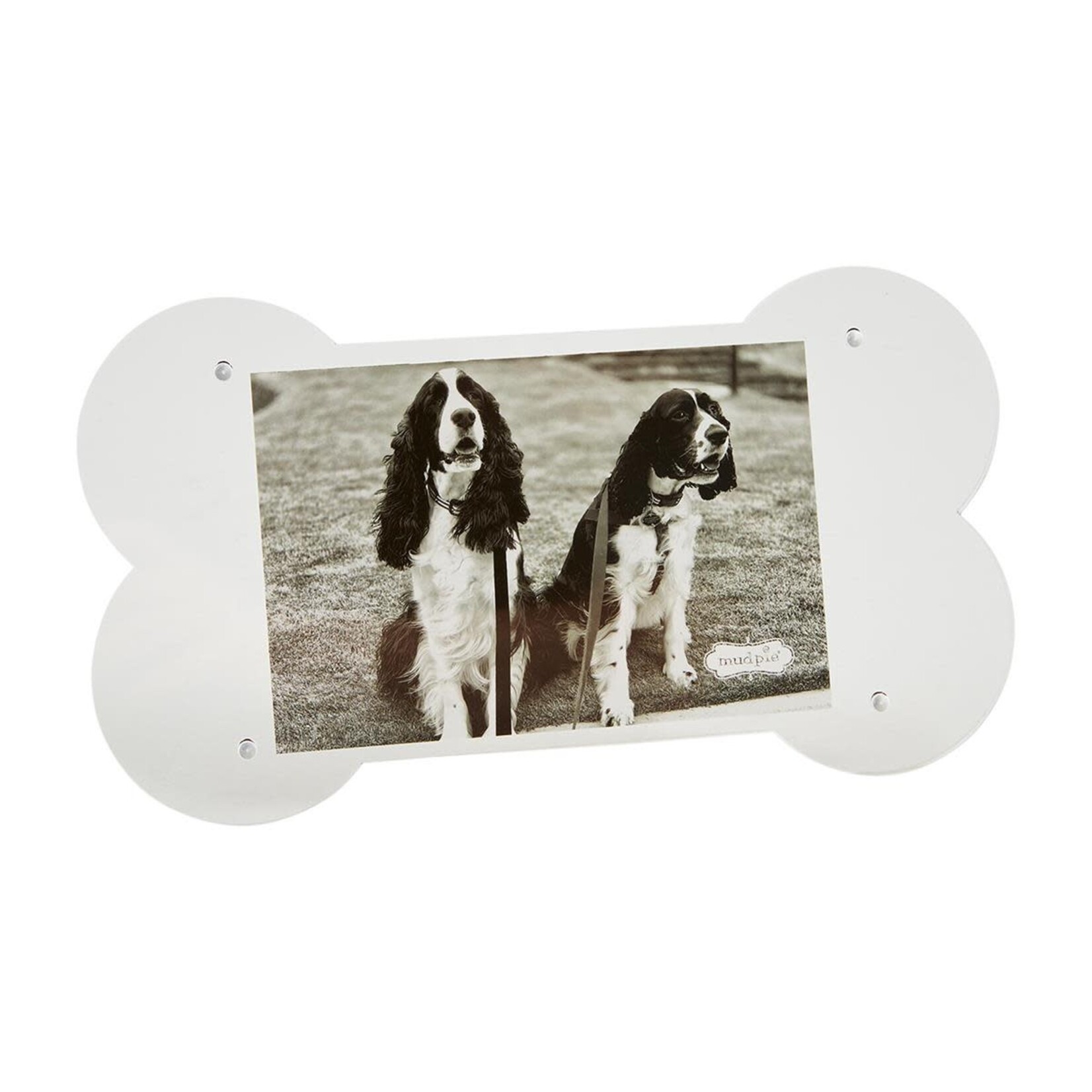mud pie acrylic dog bone picture frame