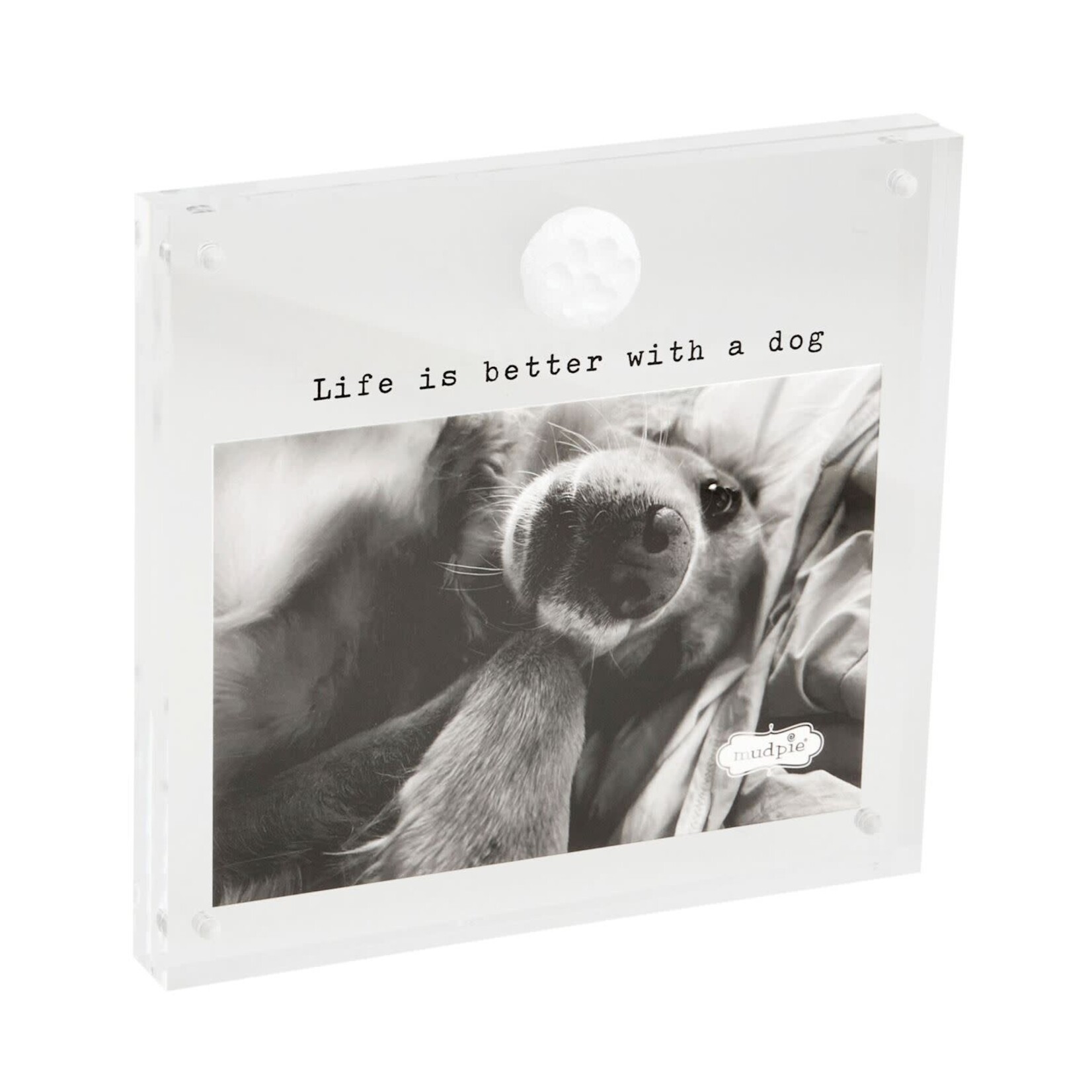 mud pie paw dog life is better acrylic frame