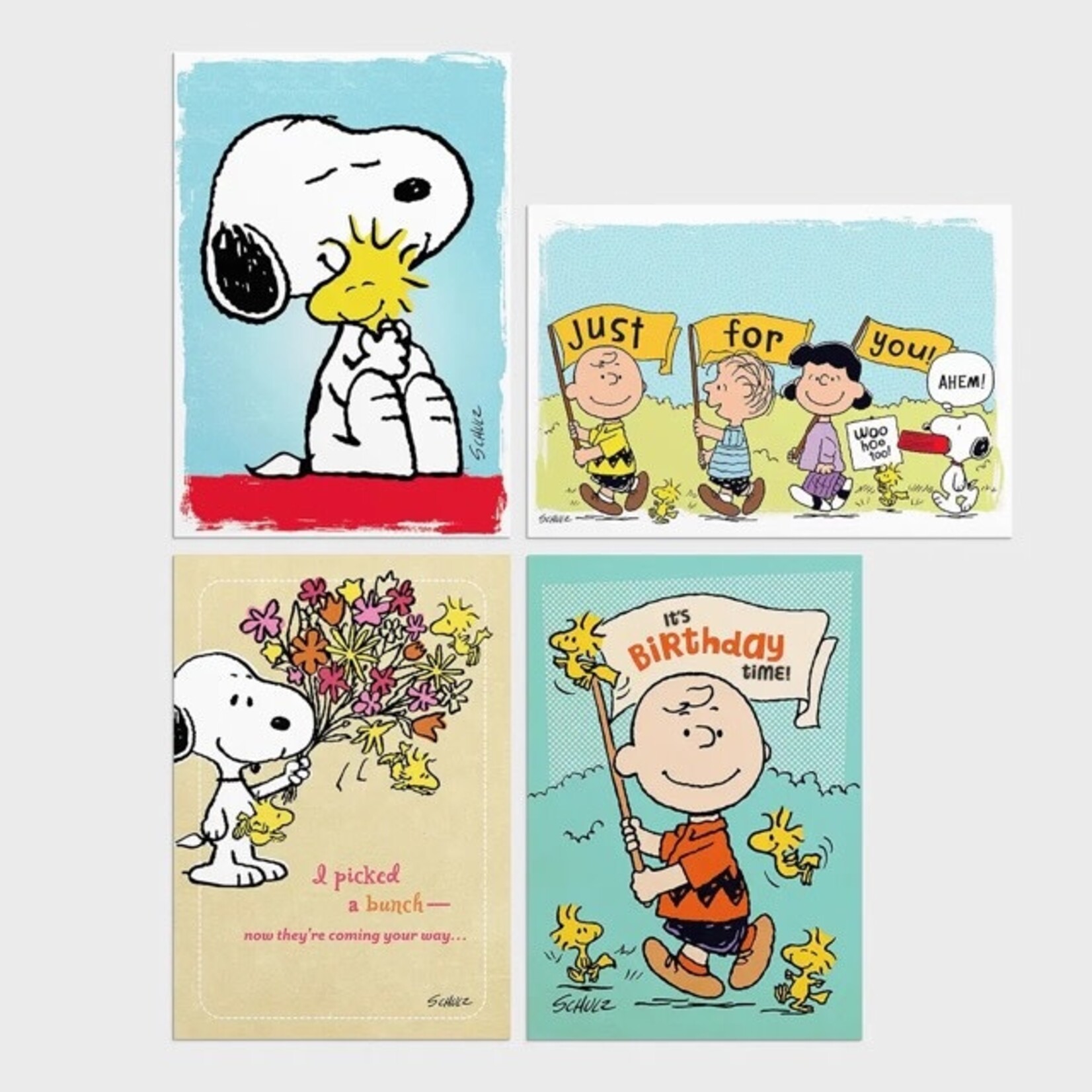 dayspring all occasion peanuts card set