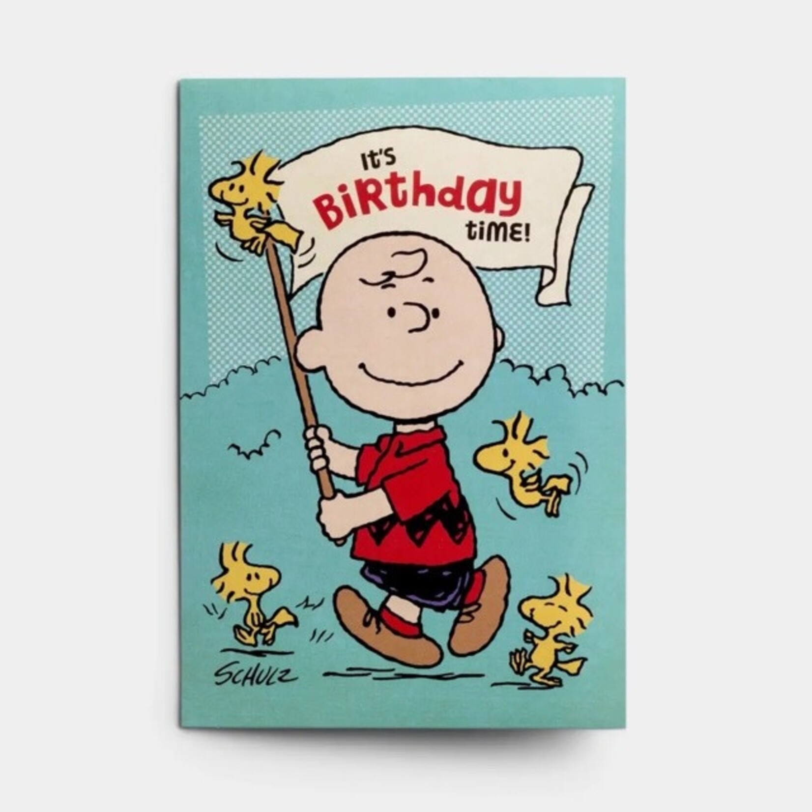dayspring all occasion peanuts card set