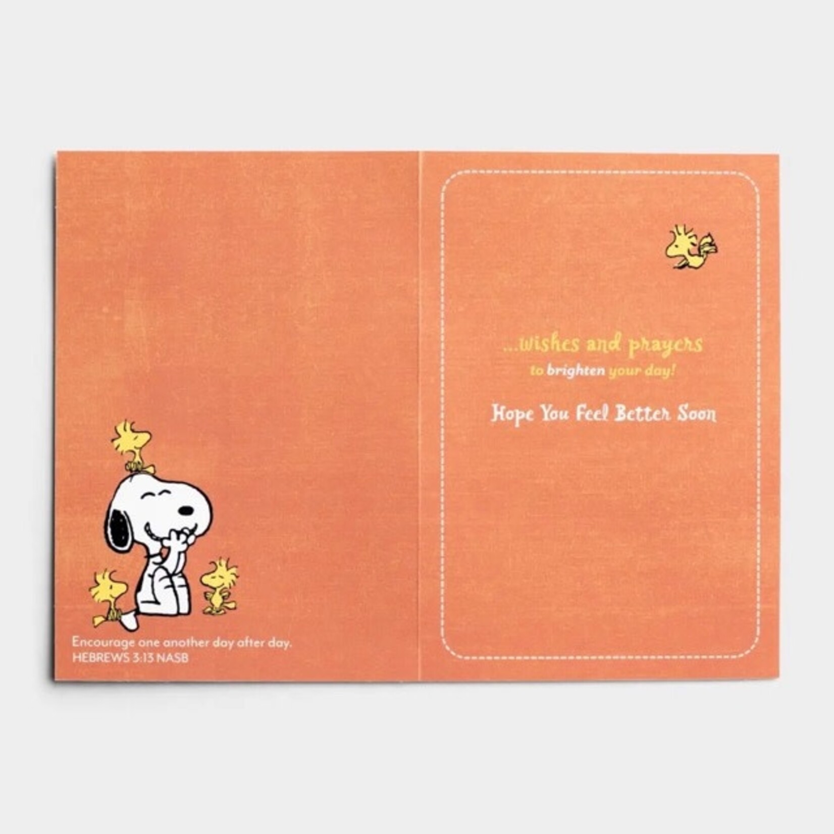 dayspring all occasion peanuts card set