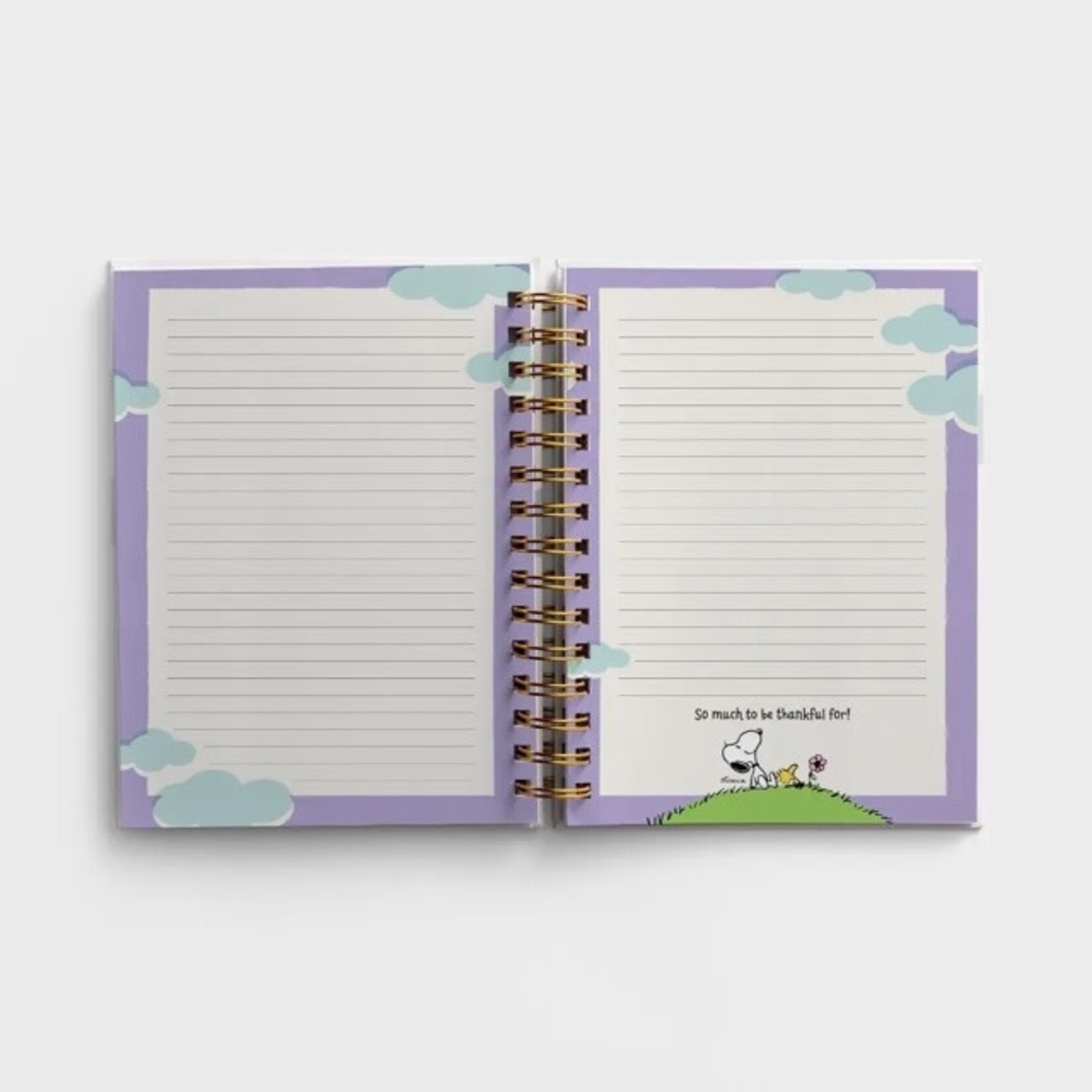 dayspring my happy peanuts journal
