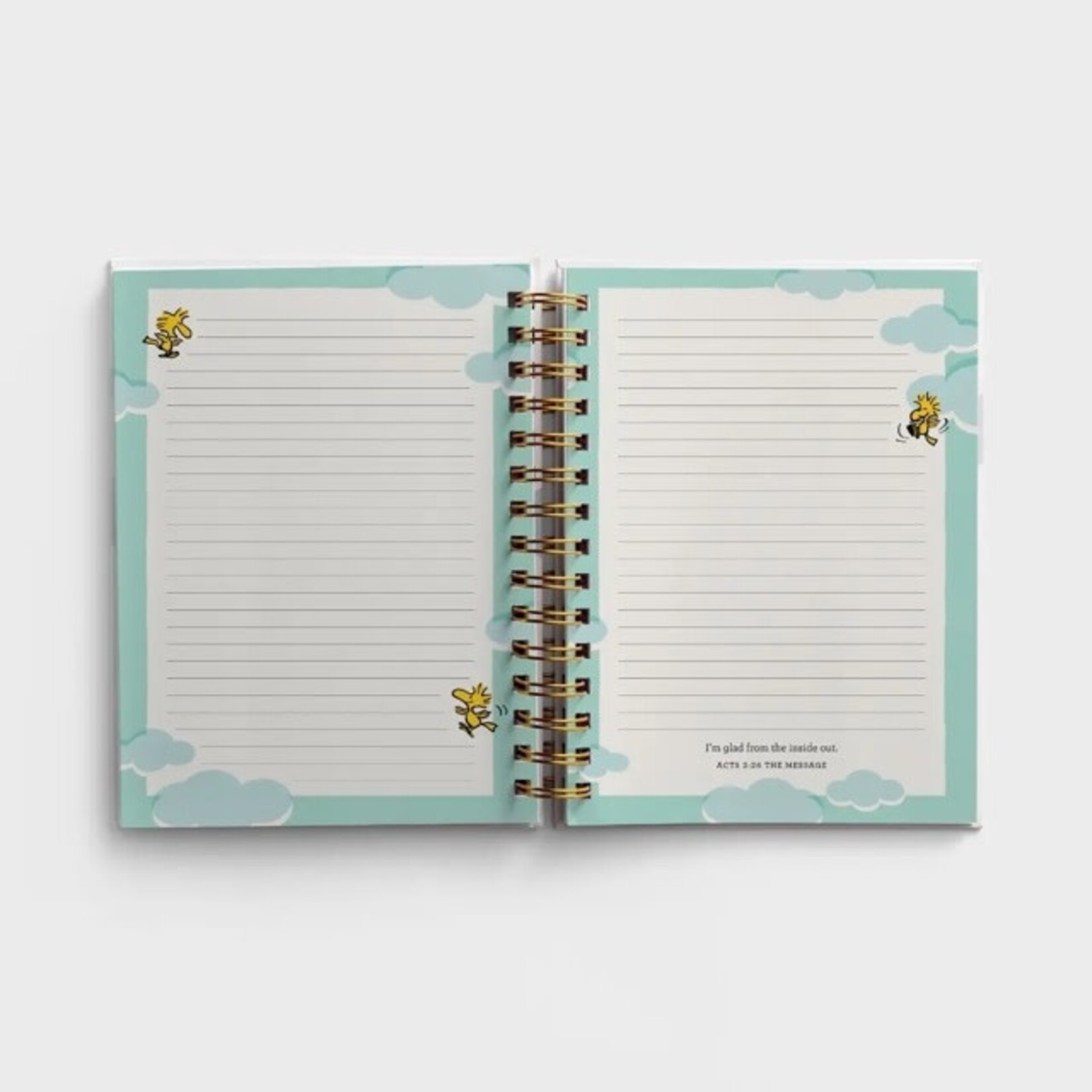 dayspring my happy peanuts journal