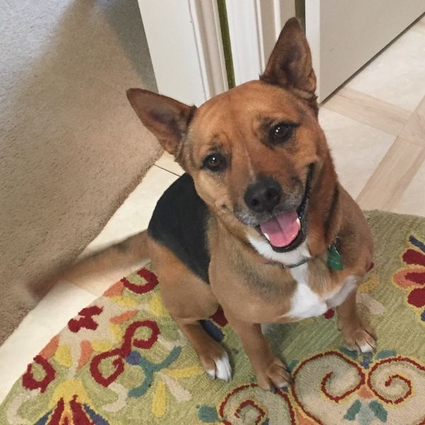 reese, official door greeter
