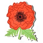 happy everything poppy big attachment