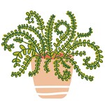 happy everything happy houseplant attachelor '25 mini attachment