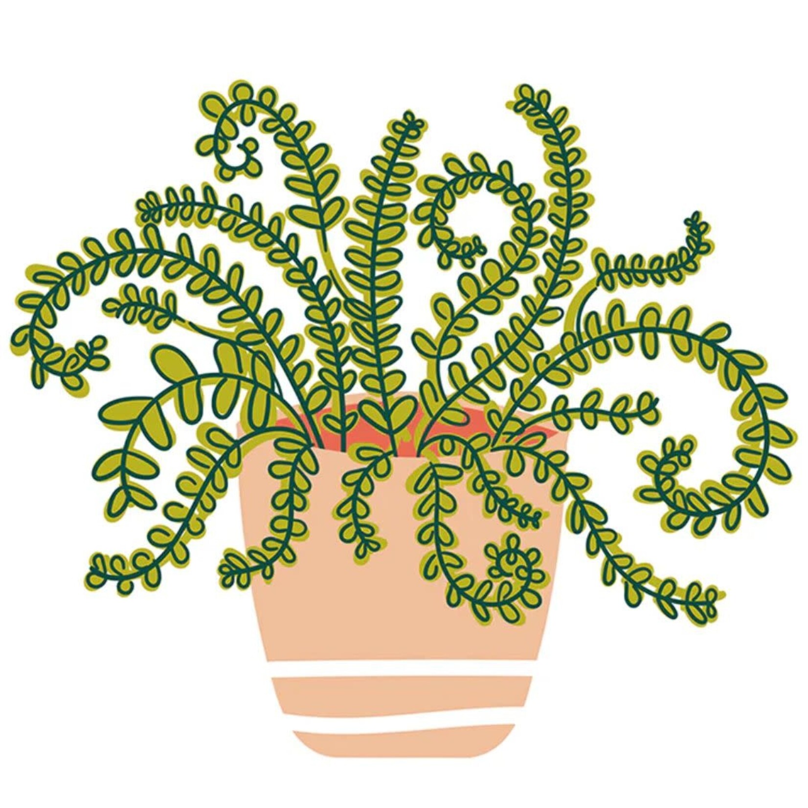 happy everything happy houseplant attachelor '25 mini attachment