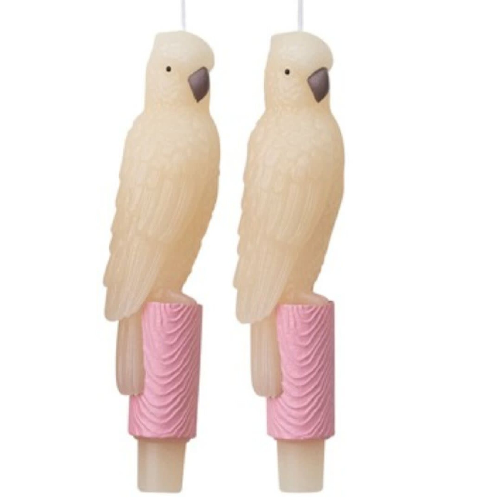 unscented parrot taper candle