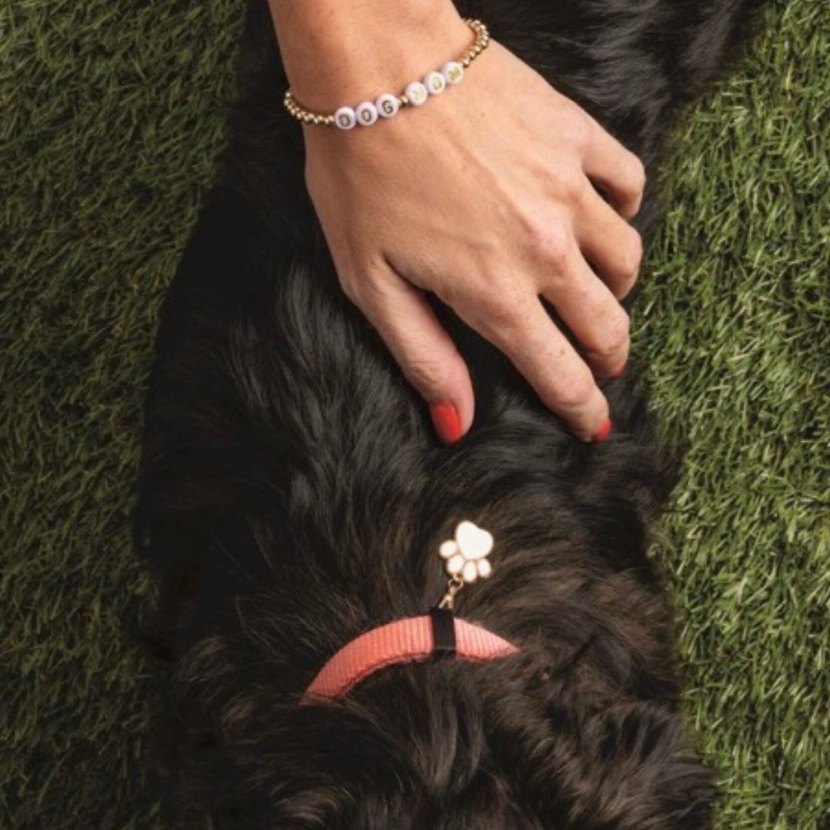 mud pie pet trinket dish & bracelet set