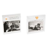 mud pie acrylic cat picture frame