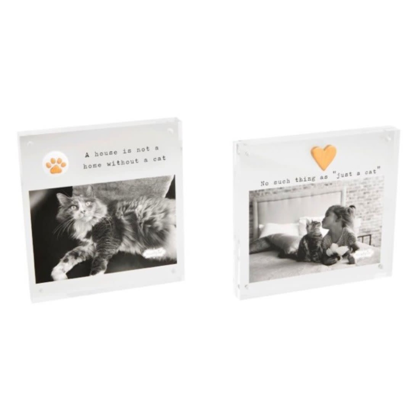 mud pie acrylic cat picture frame