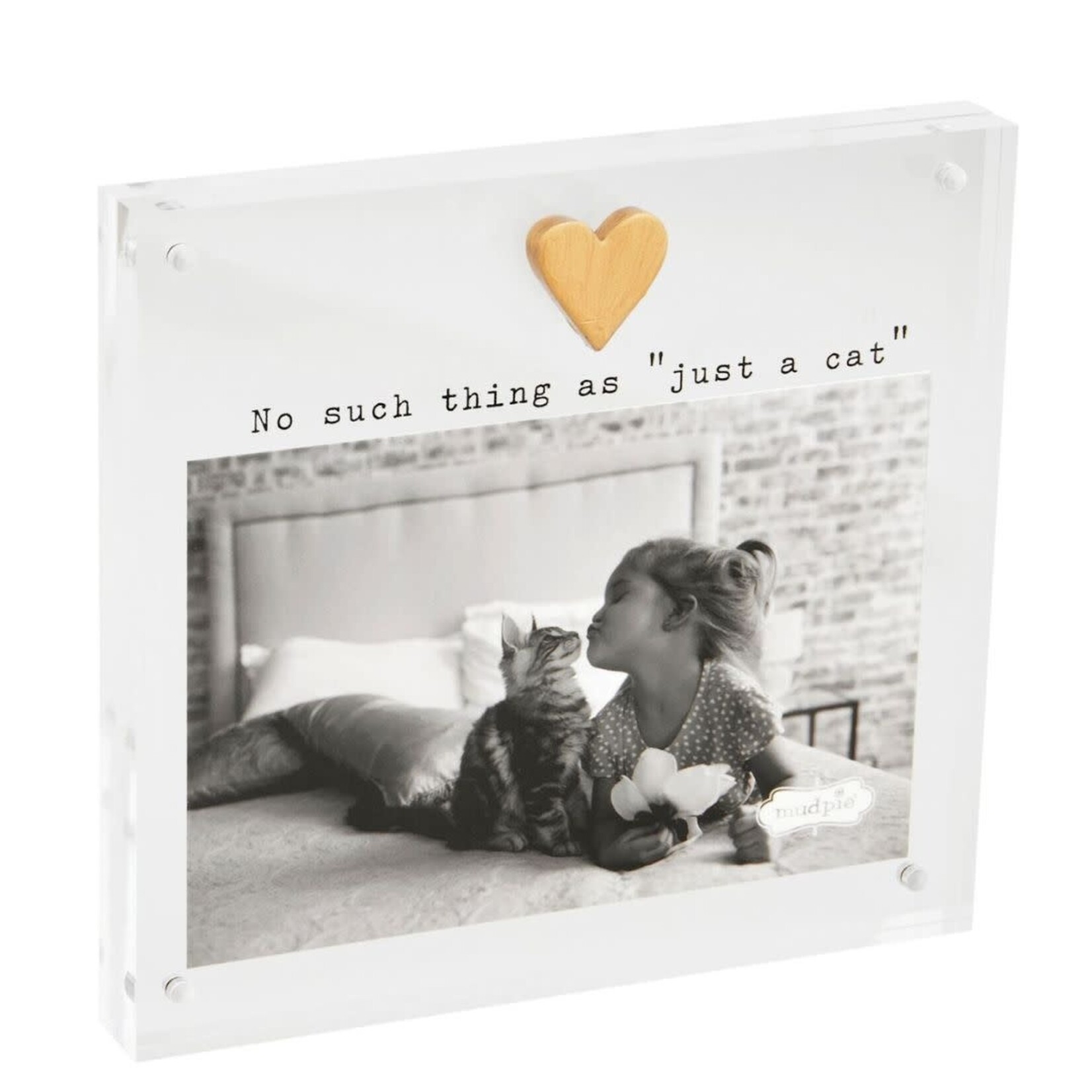 mud pie acrylic cat picture frame