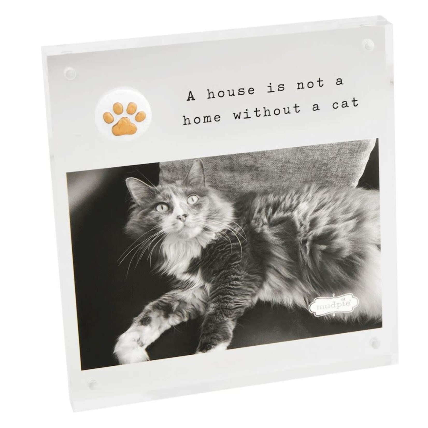 mud pie acrylic cat picture frame