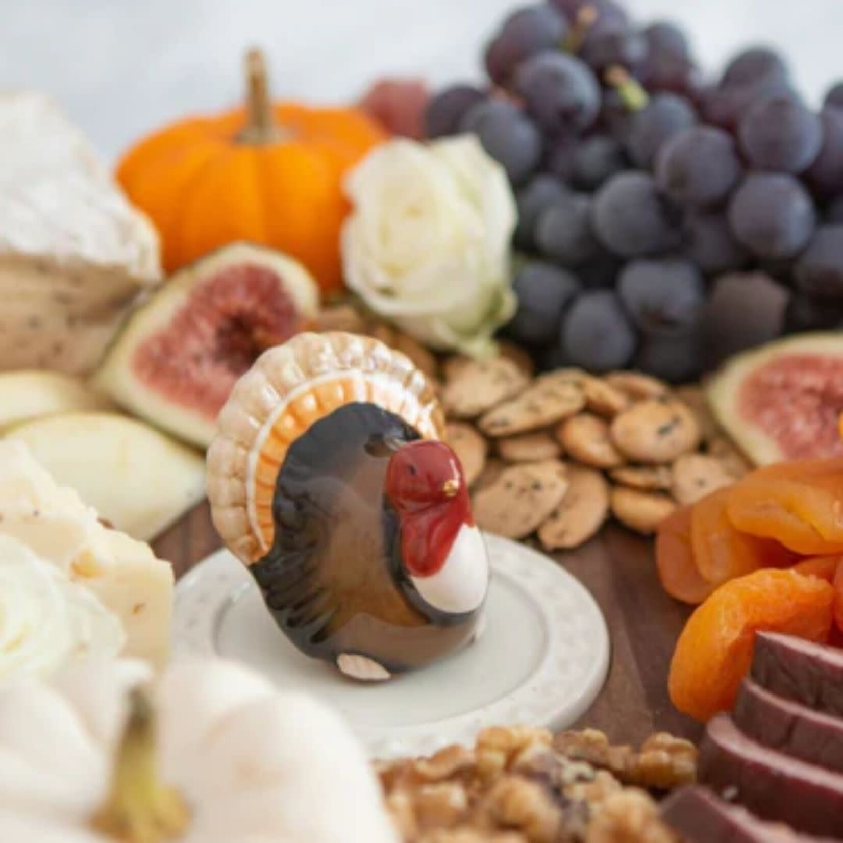 nora fleming gobble gobble mini